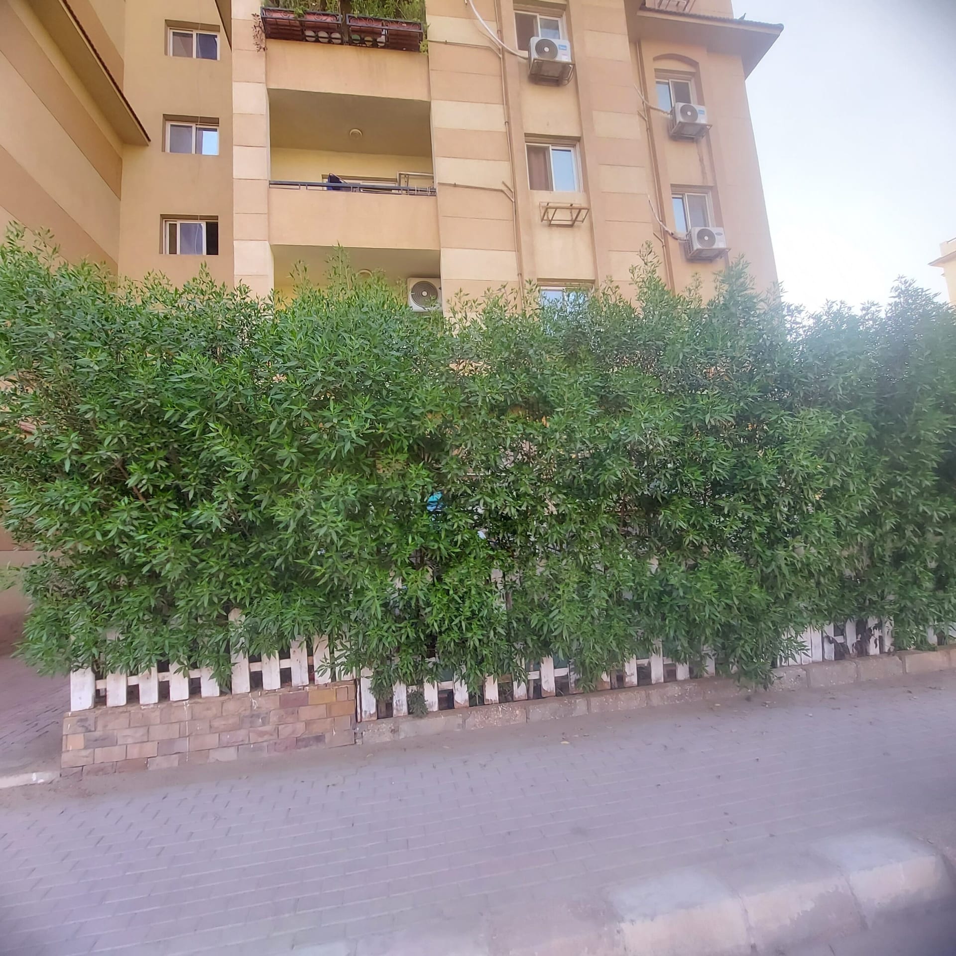 زون 6 ارضى بجاردن على جاردن - 3