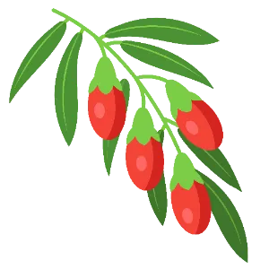 Goji Berries