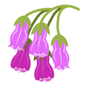 Comfrey