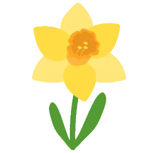 Daffodil