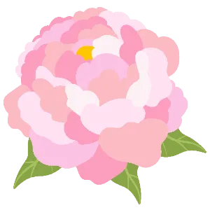 Peony