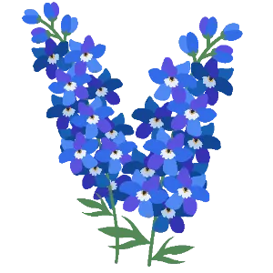 Delphinium