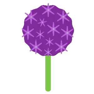 Allium