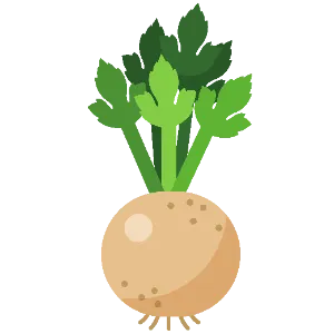 Celeriac