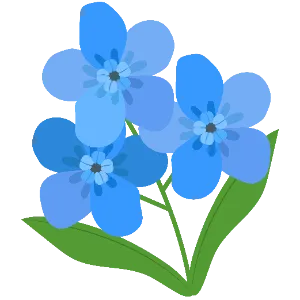 Chinese Forget-Me-Not