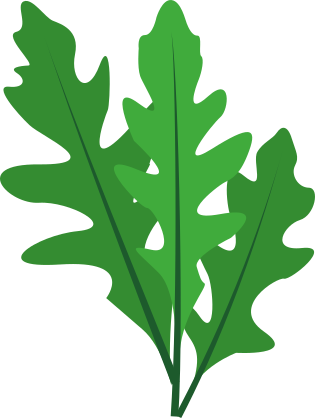 Arugula