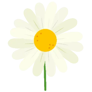 Daisy