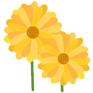 Calendula