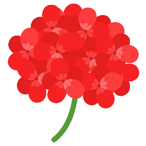 Geranium