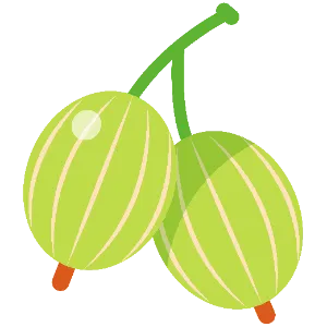 Gooseberry