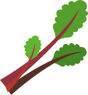 Rhubarb