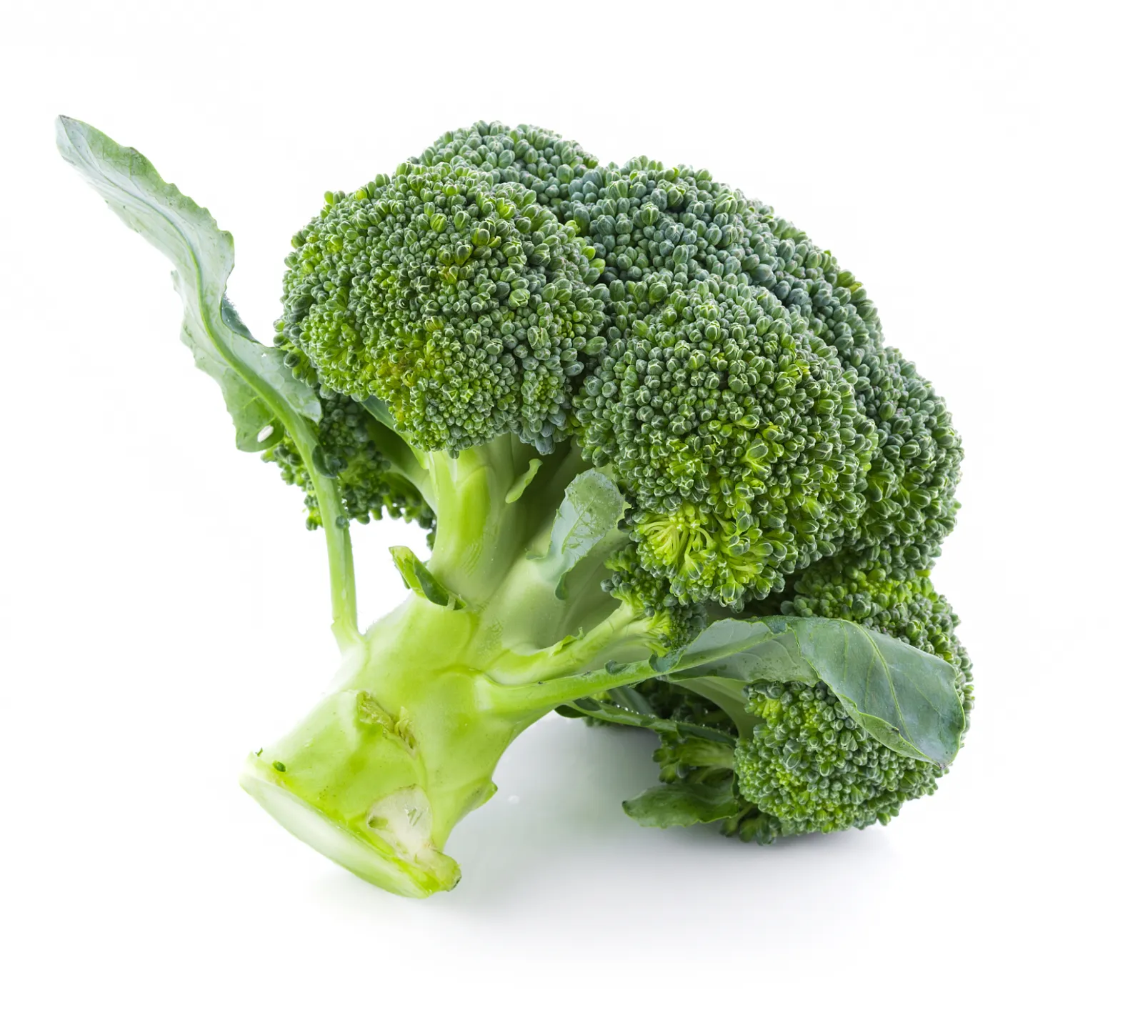 Broccoli image 3