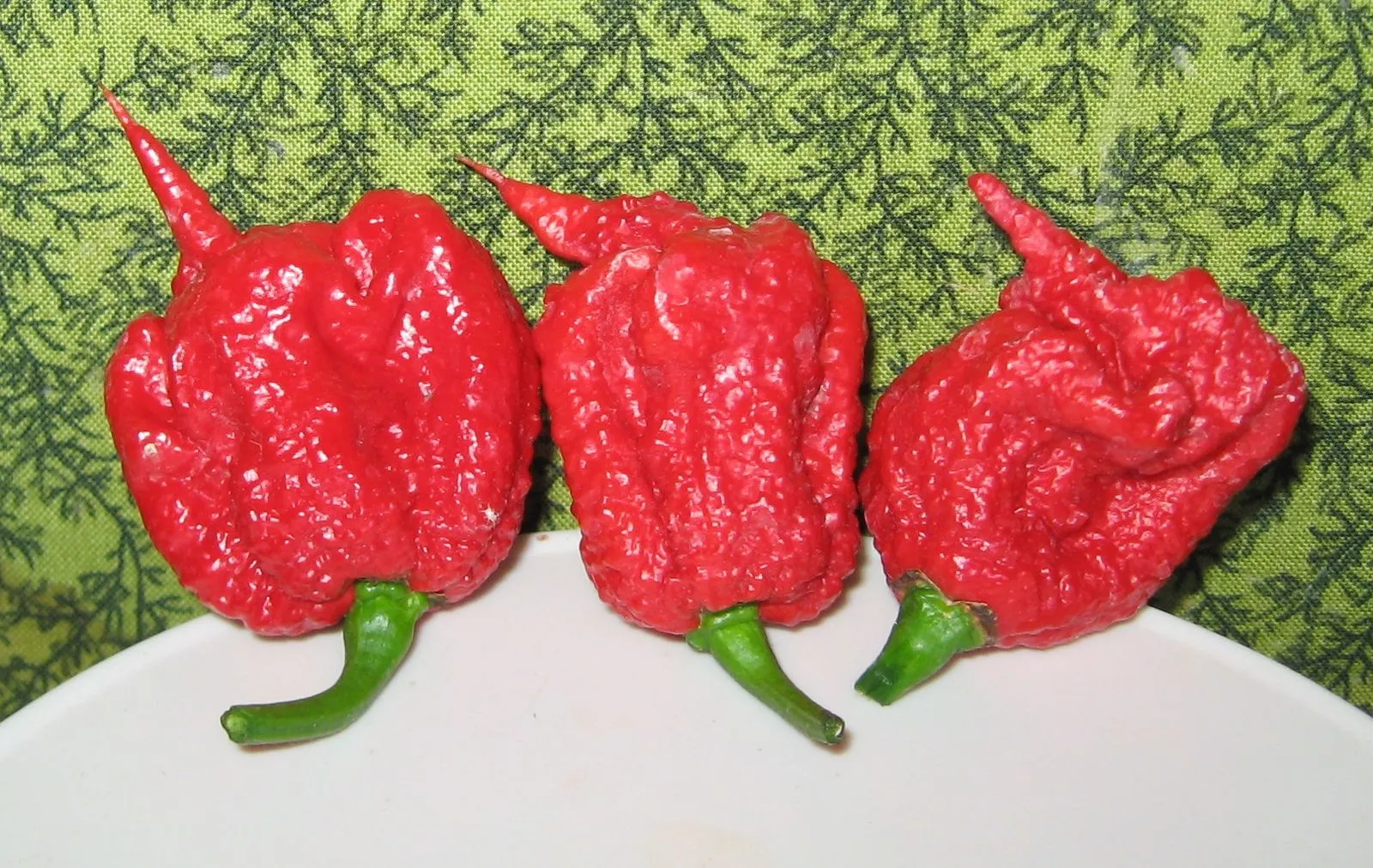 Carolina Reaper