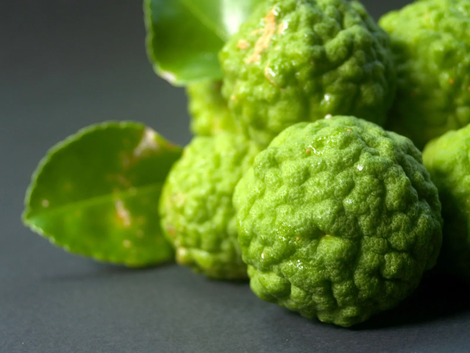 Bergamot