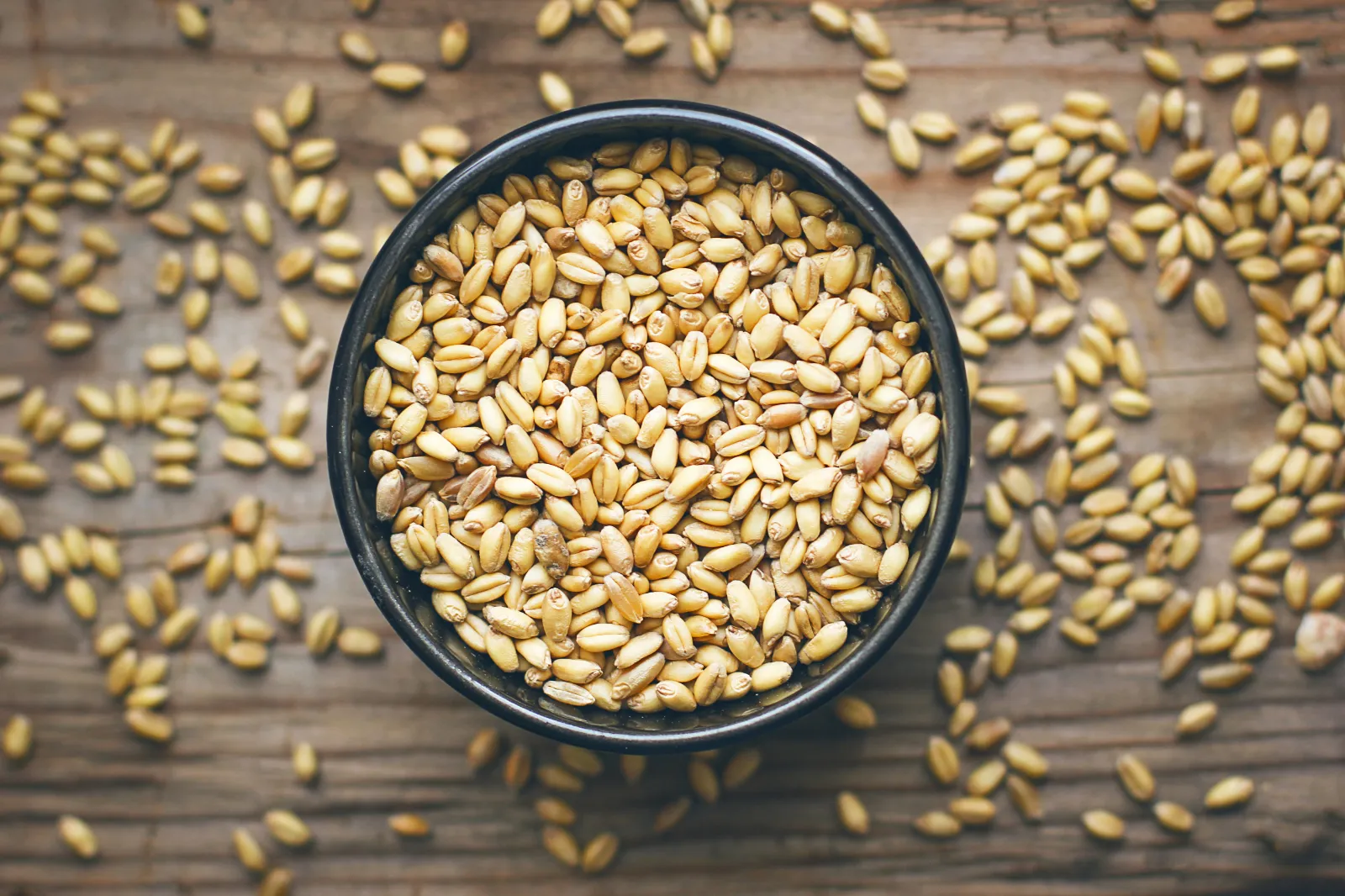 Wheat image 3