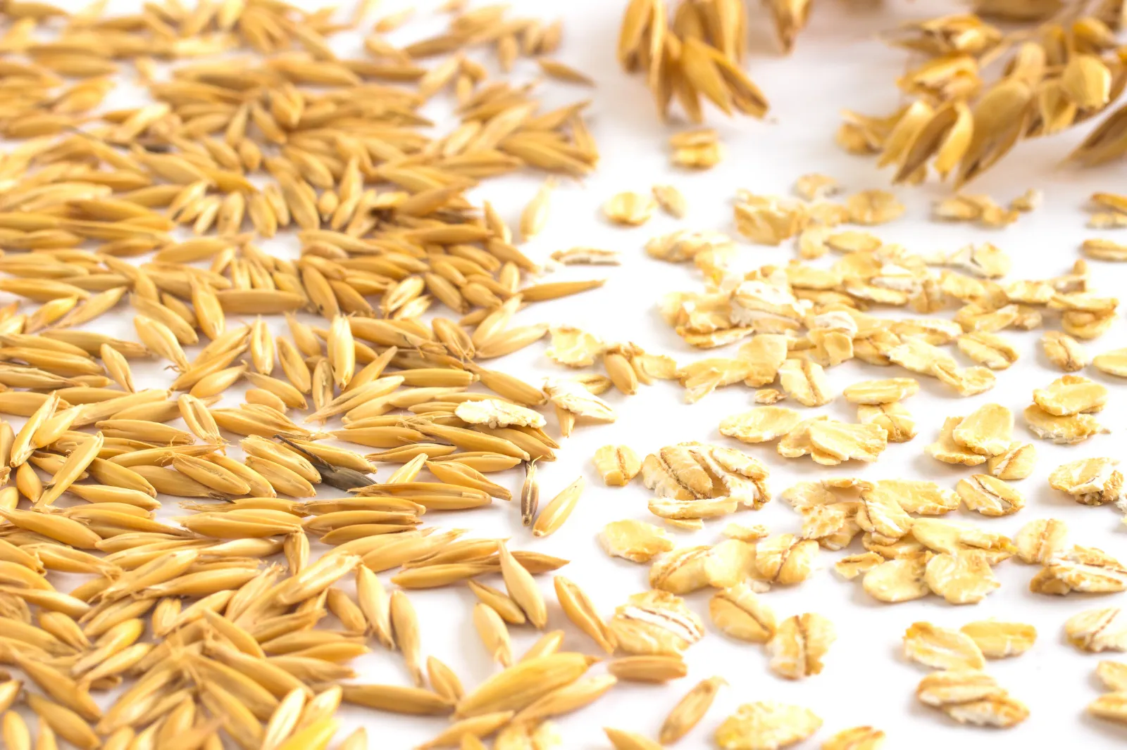 Oats image 4