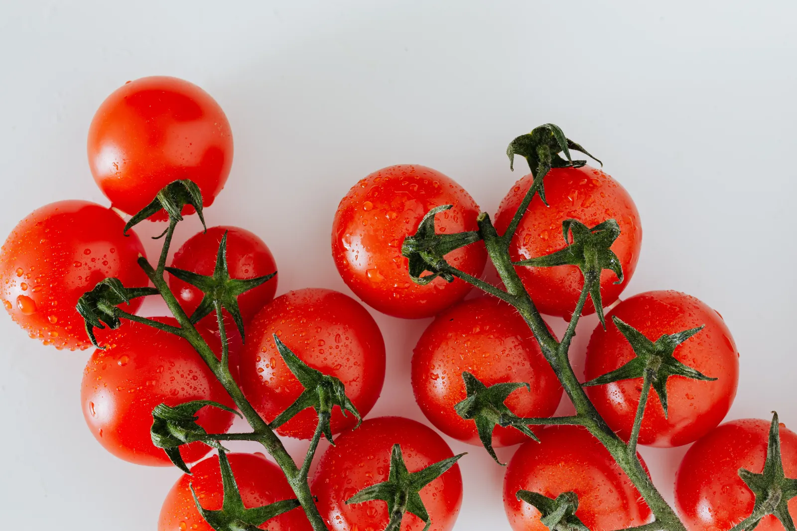Cherry Tomato Tomatoes