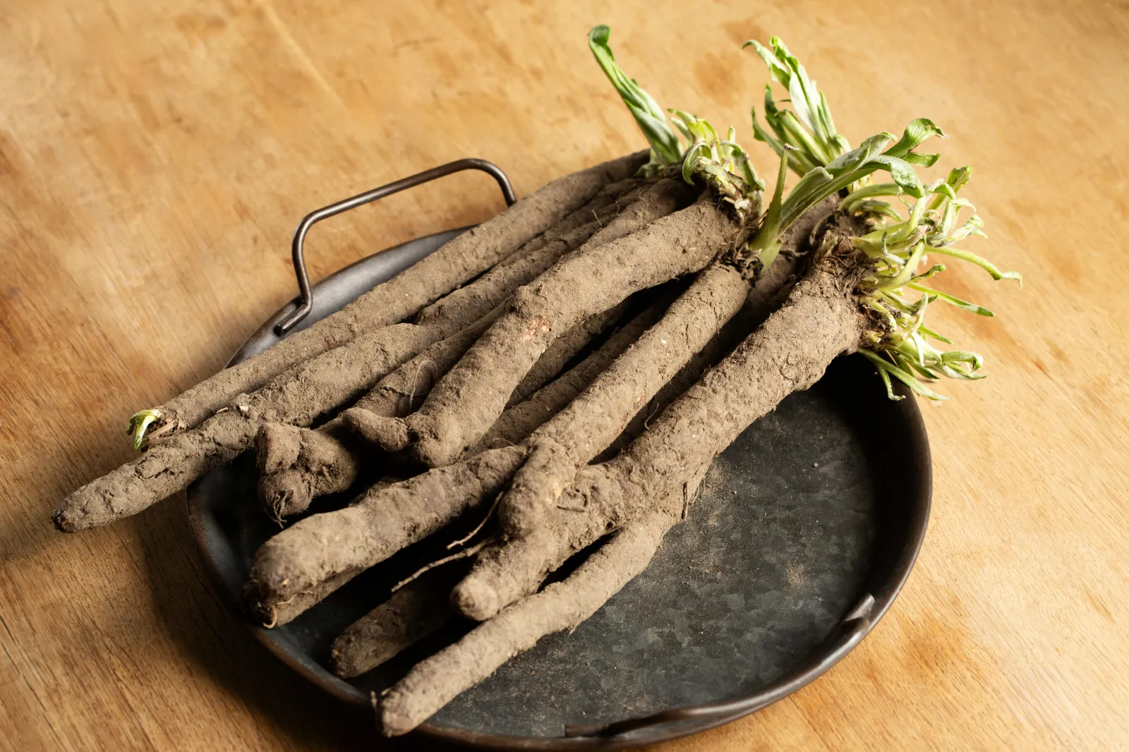 Salsify image 5