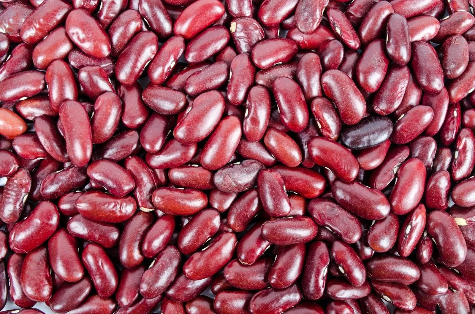 Kidney Beans