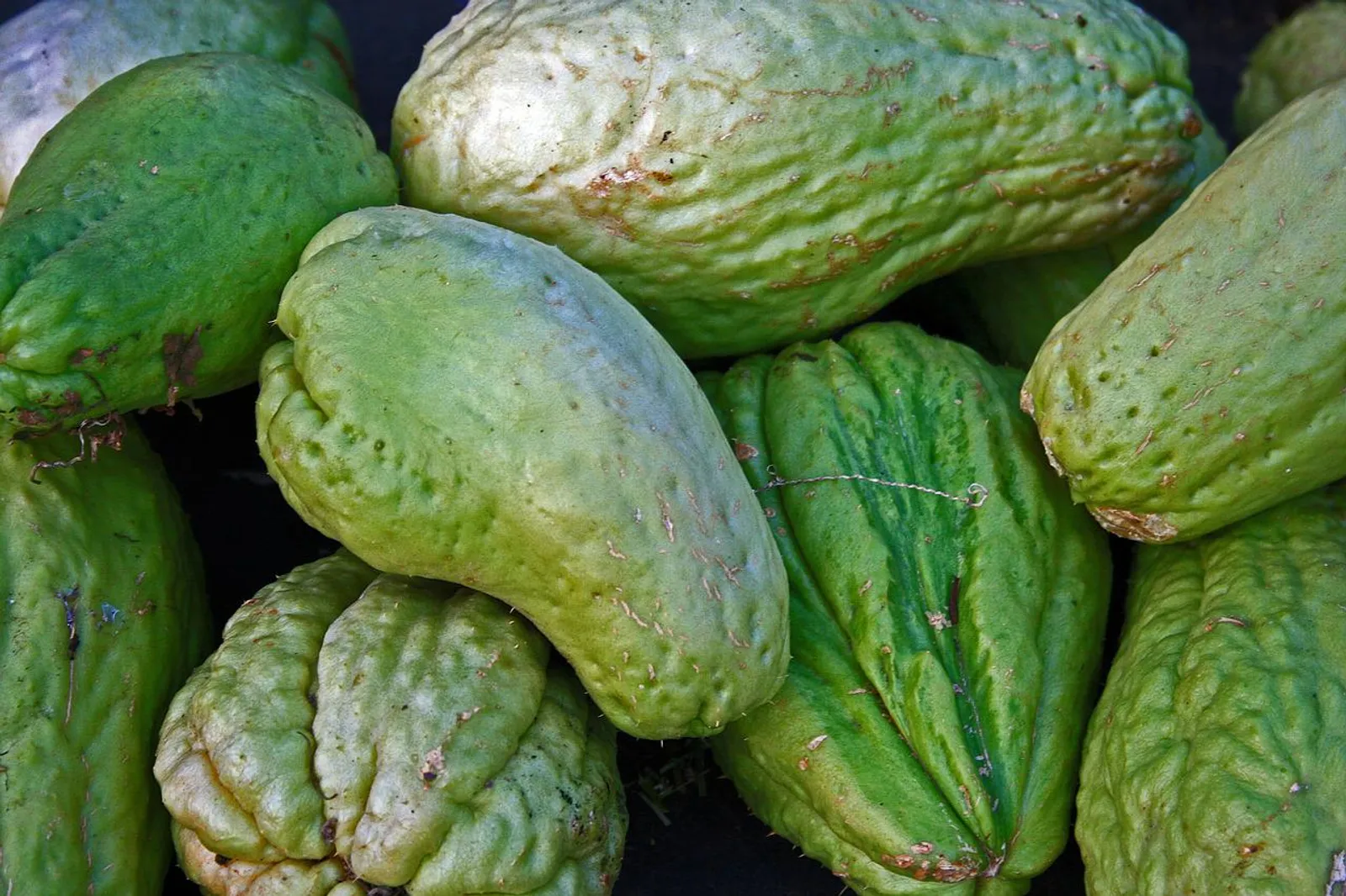 Summer, Chayote Squash Squash