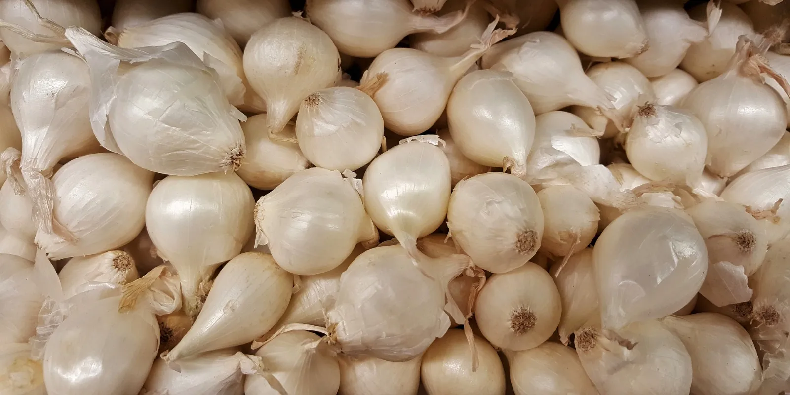Pearl Onion Onions