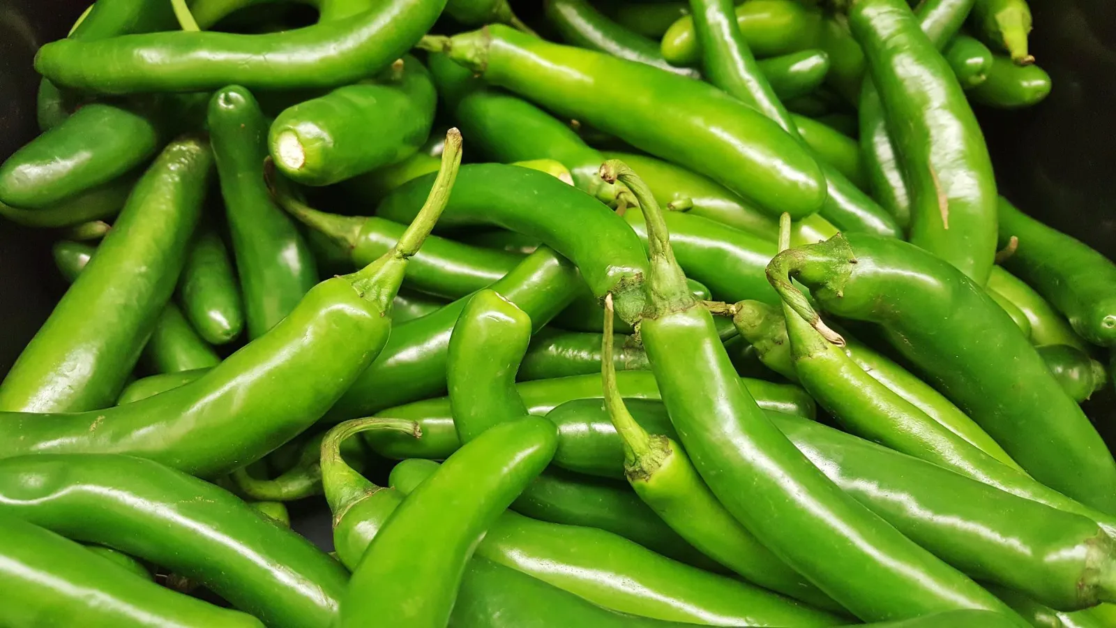 Serrano Pepper Peppers