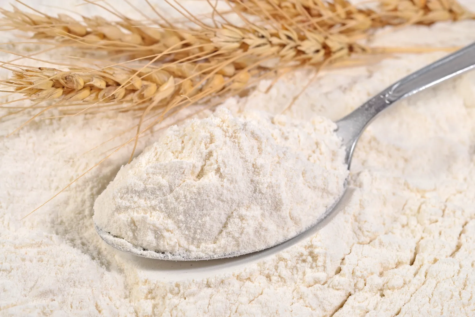 Wheat image 4