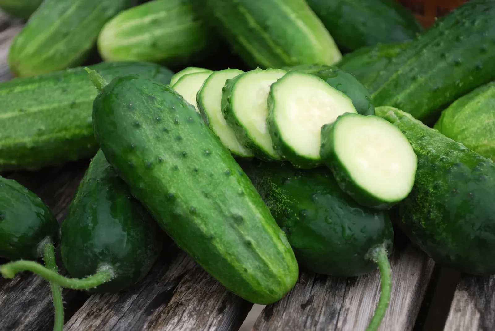 Boston Pickling Cucumbers
