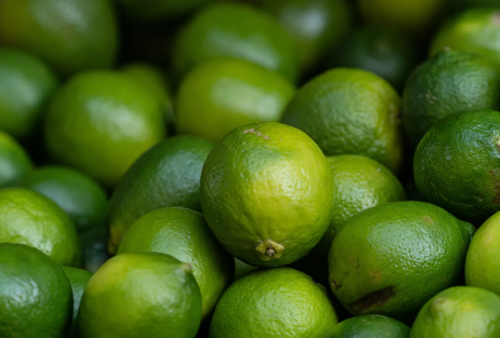Lime image 1