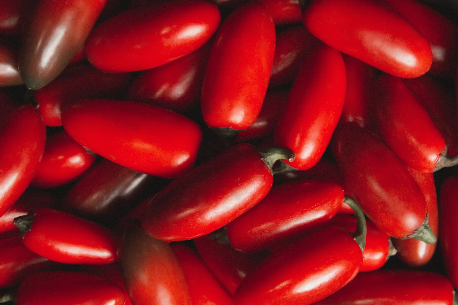 San Marzano Tomato Tomatoes