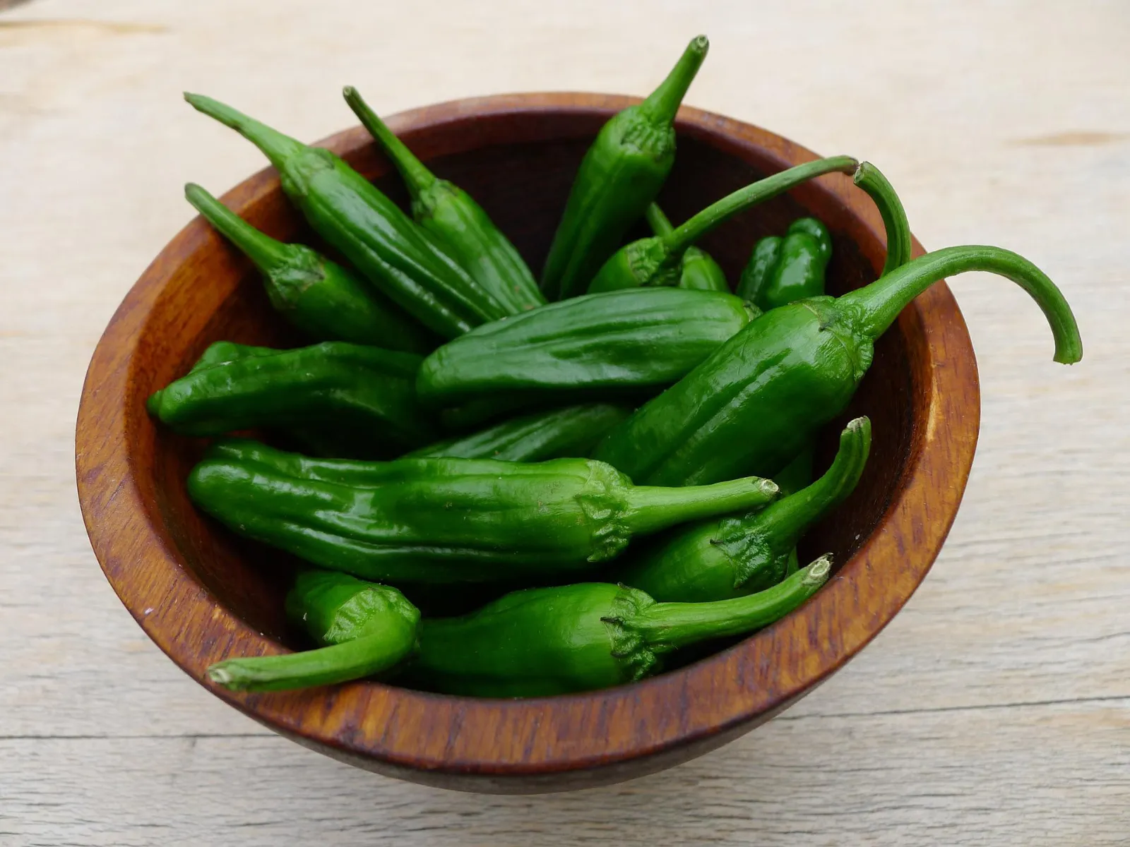 Shishito Pepper Peppers