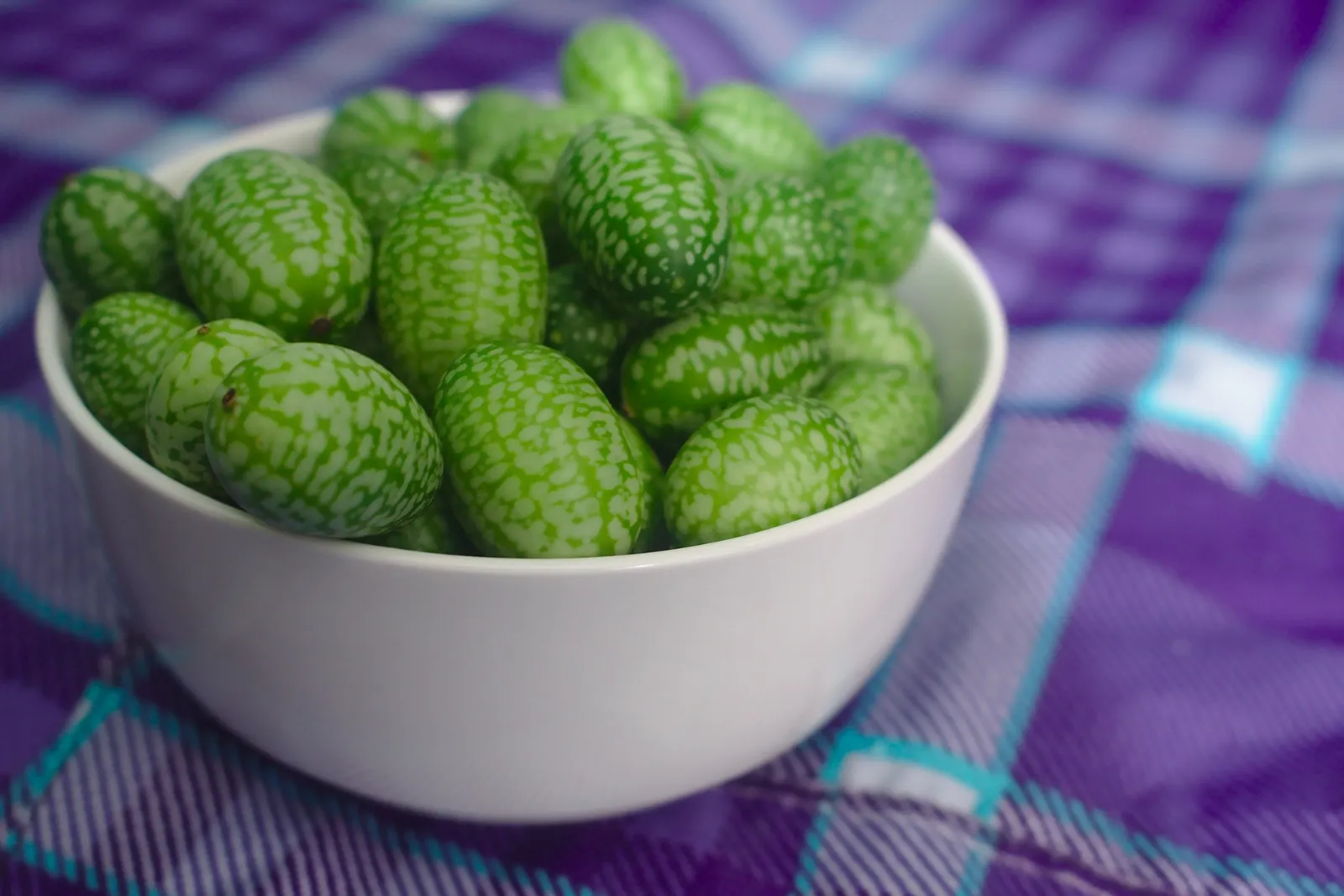 Cucamelon Cucumbers