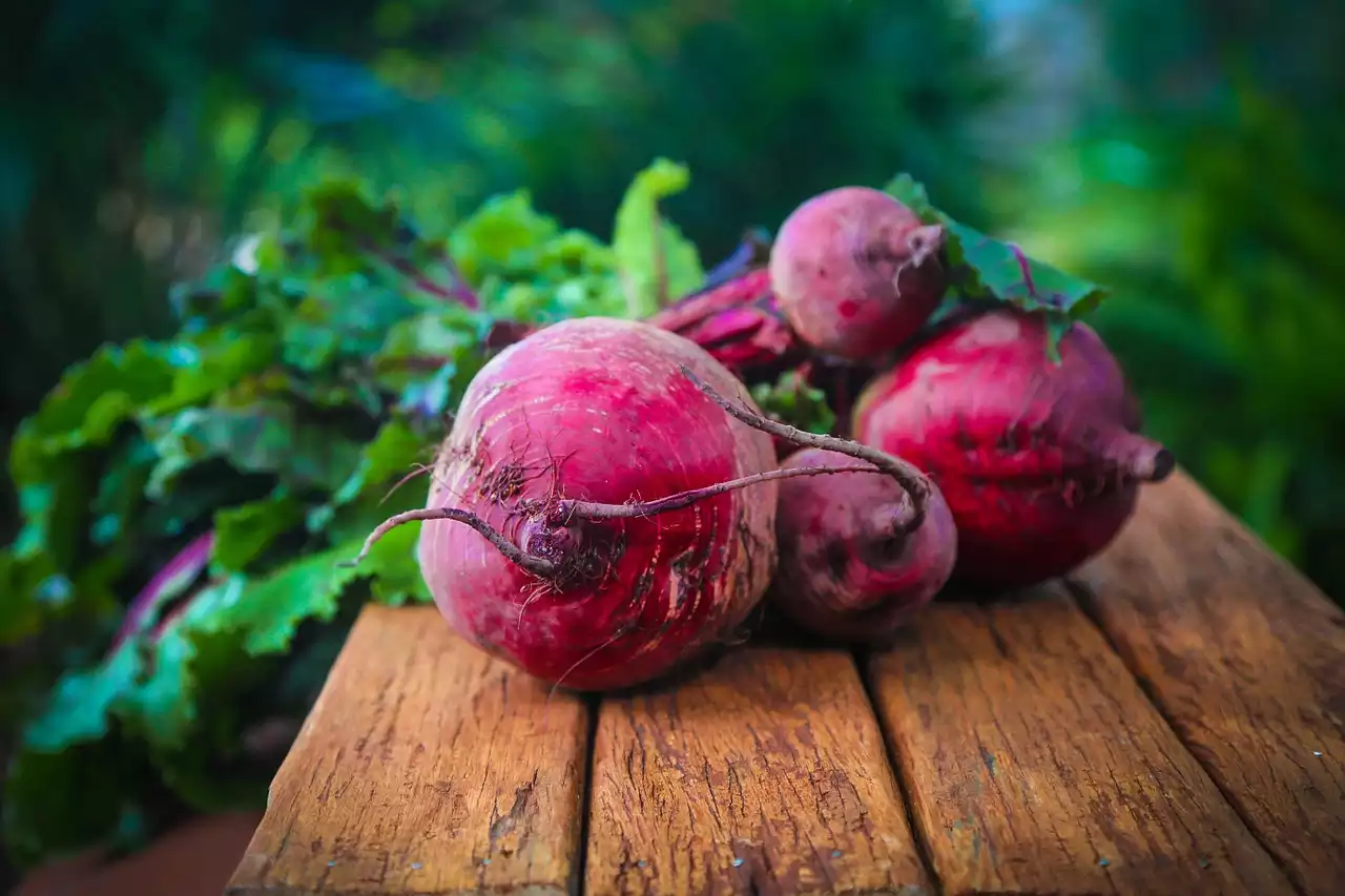 Beets image 1