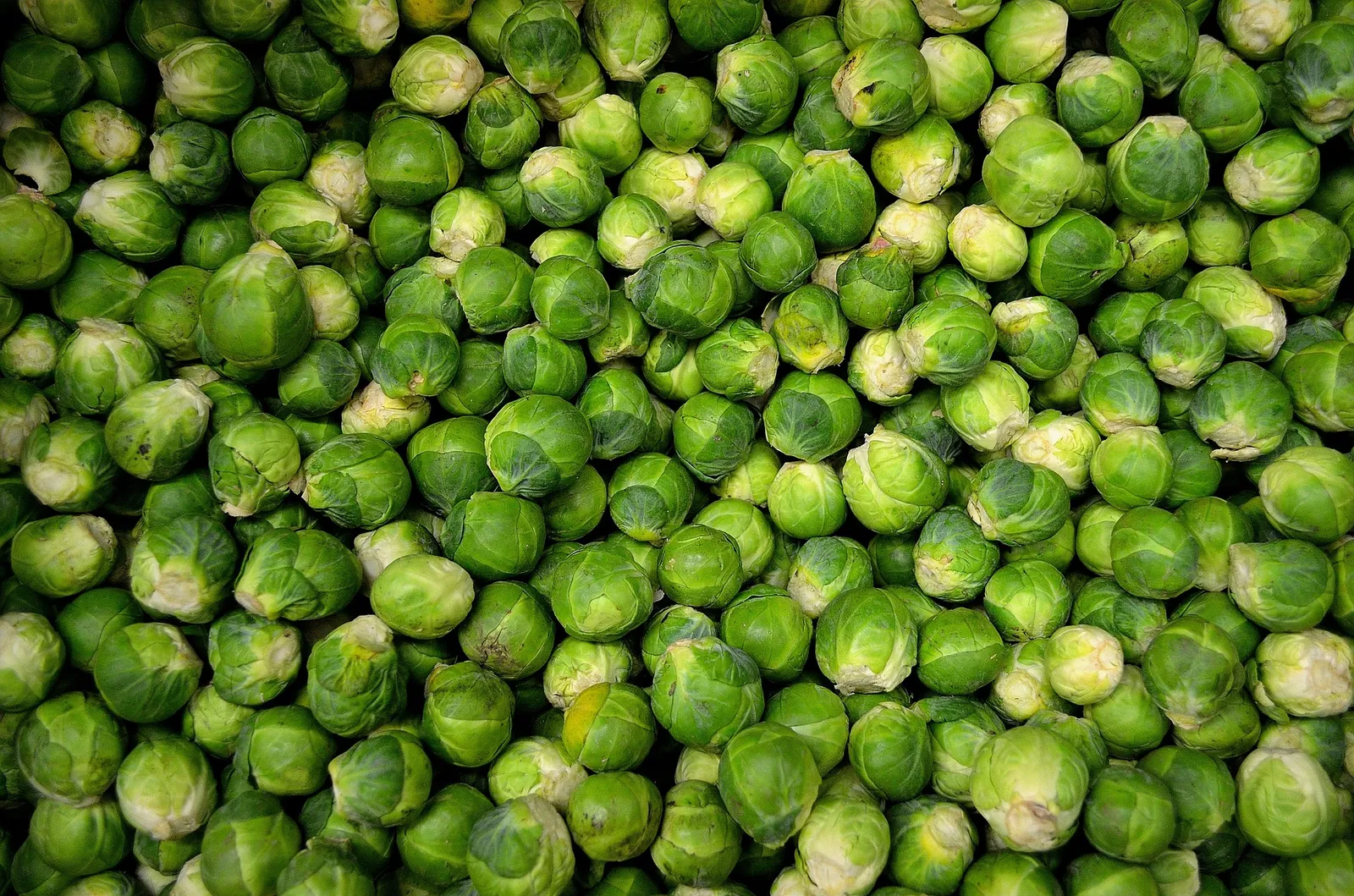 Brussels Sprouts image 2