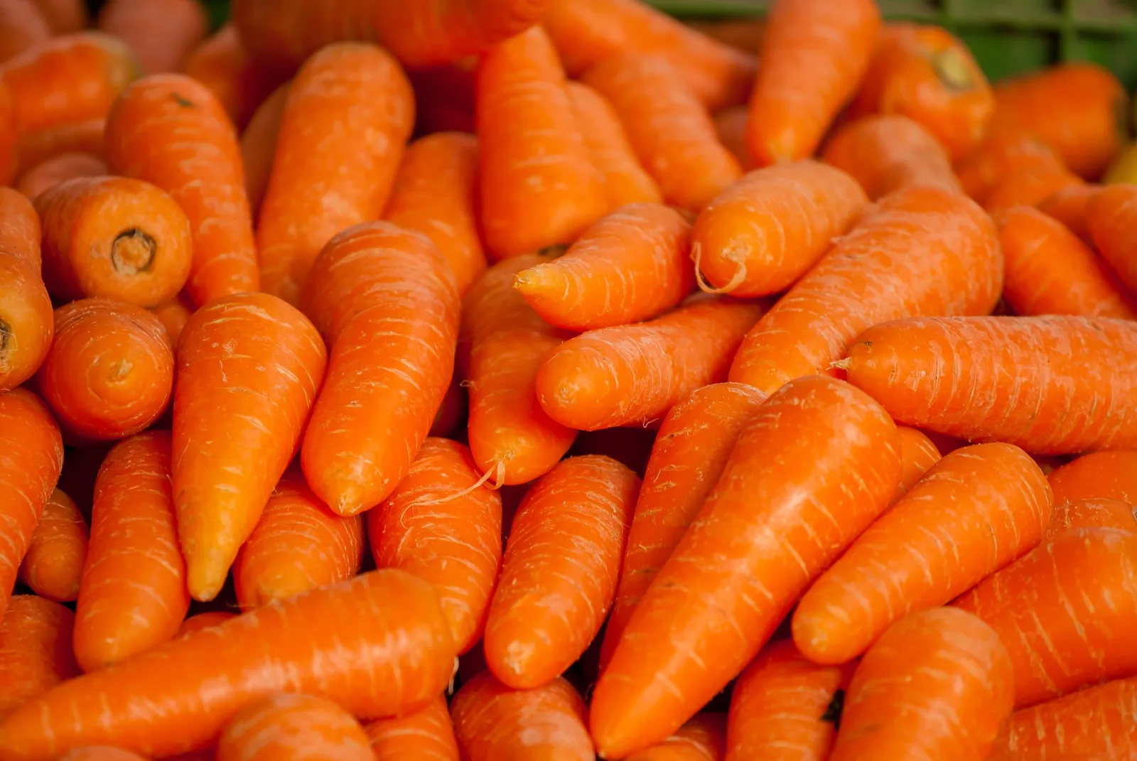 Carrots image 2