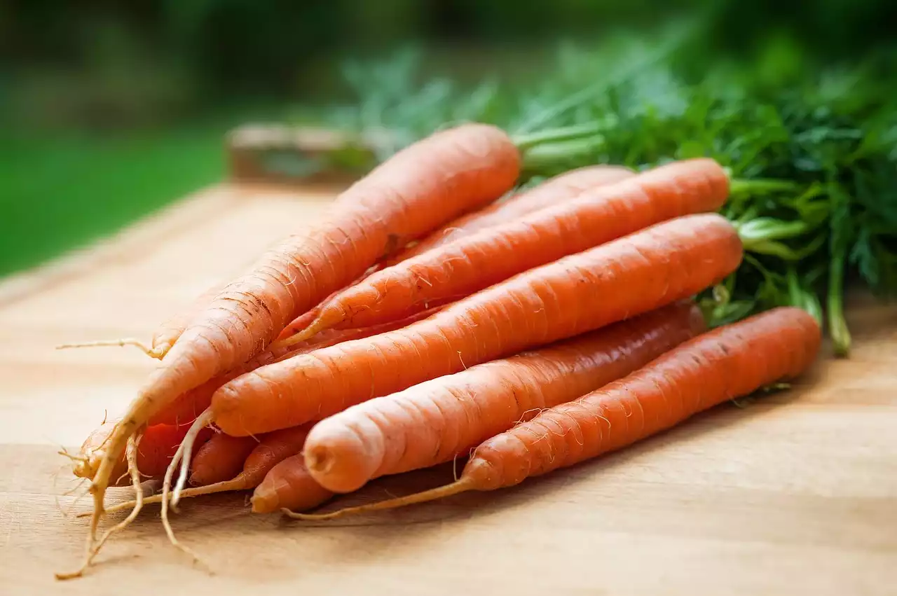 Carrots image 1