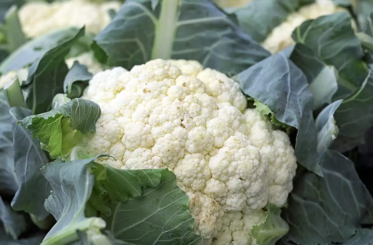 Cauliflower image 1