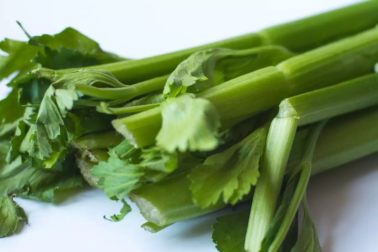 Celery image 1