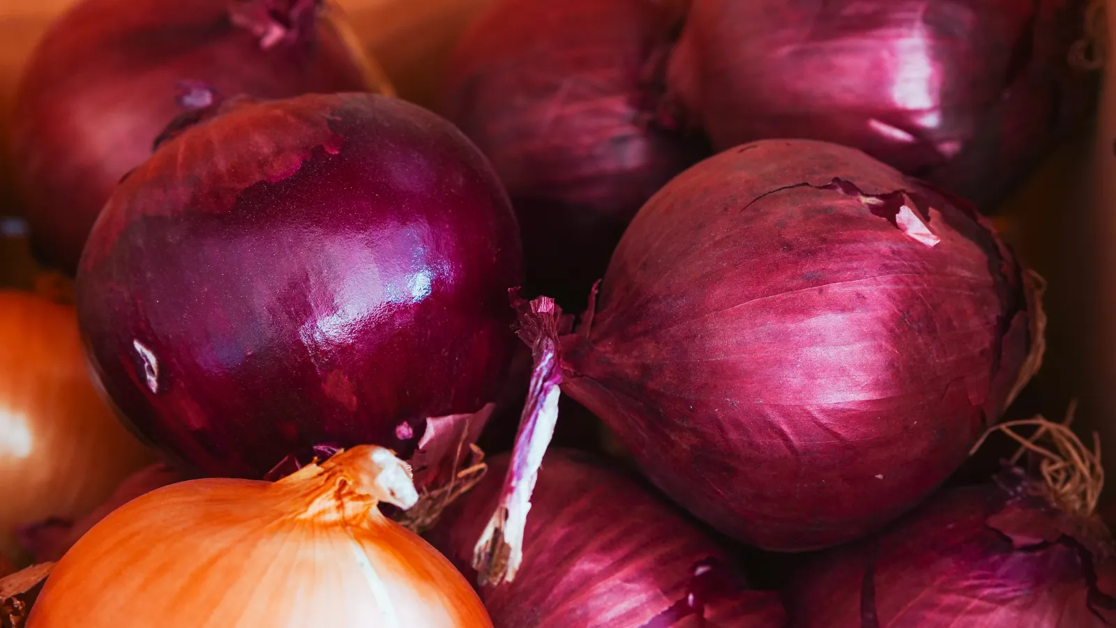Red Onion Onions