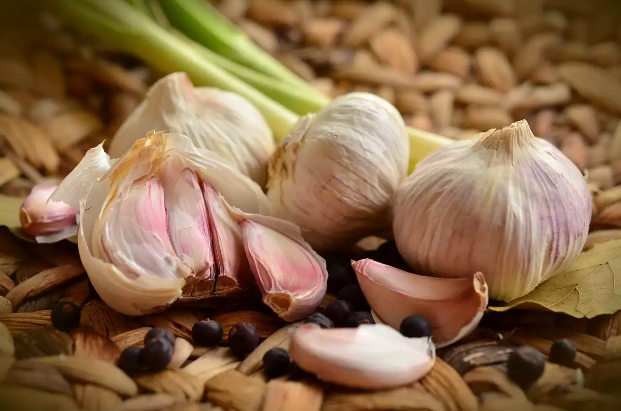 Garlic image 1