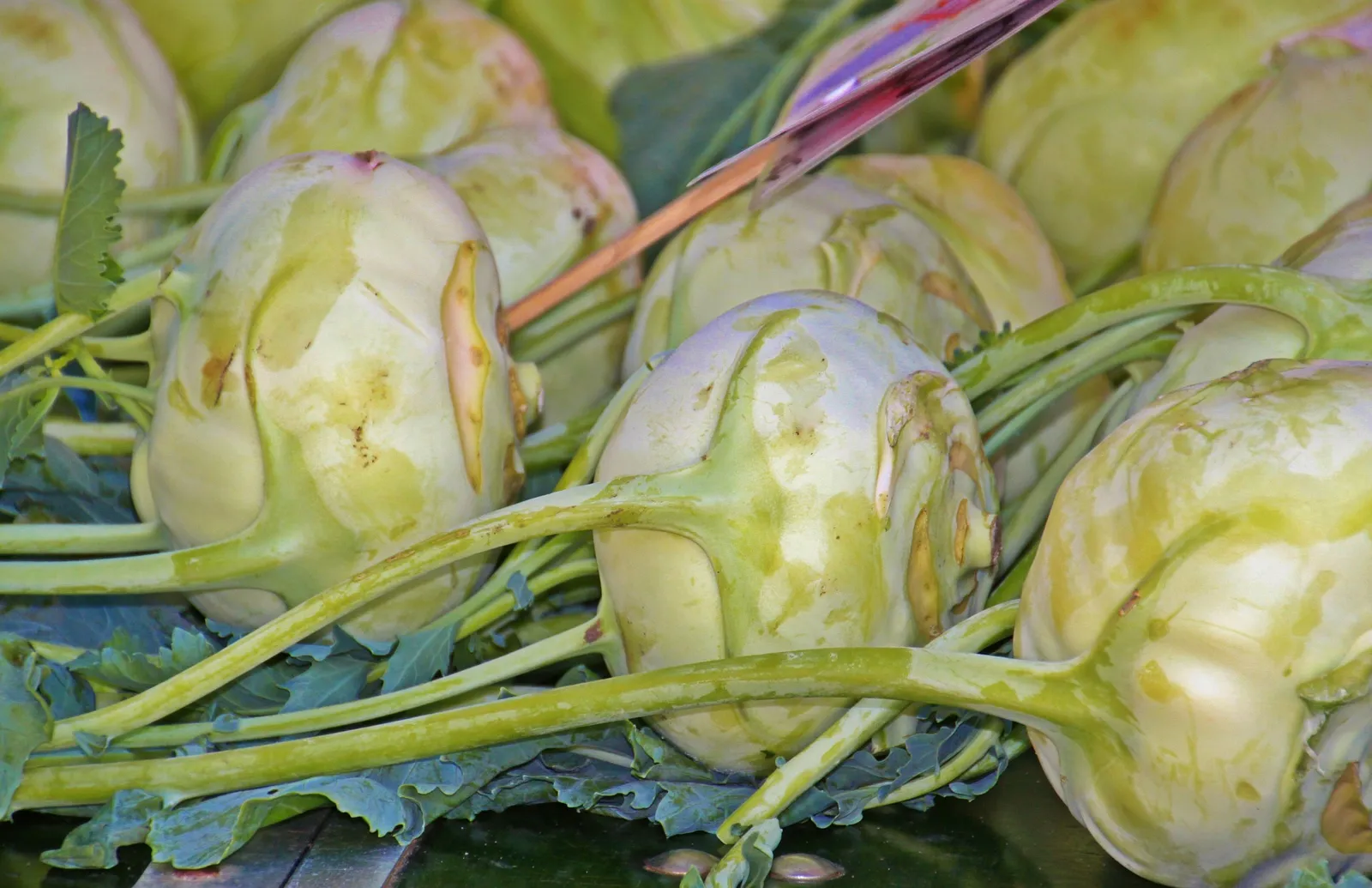 Kohlrabi image 3