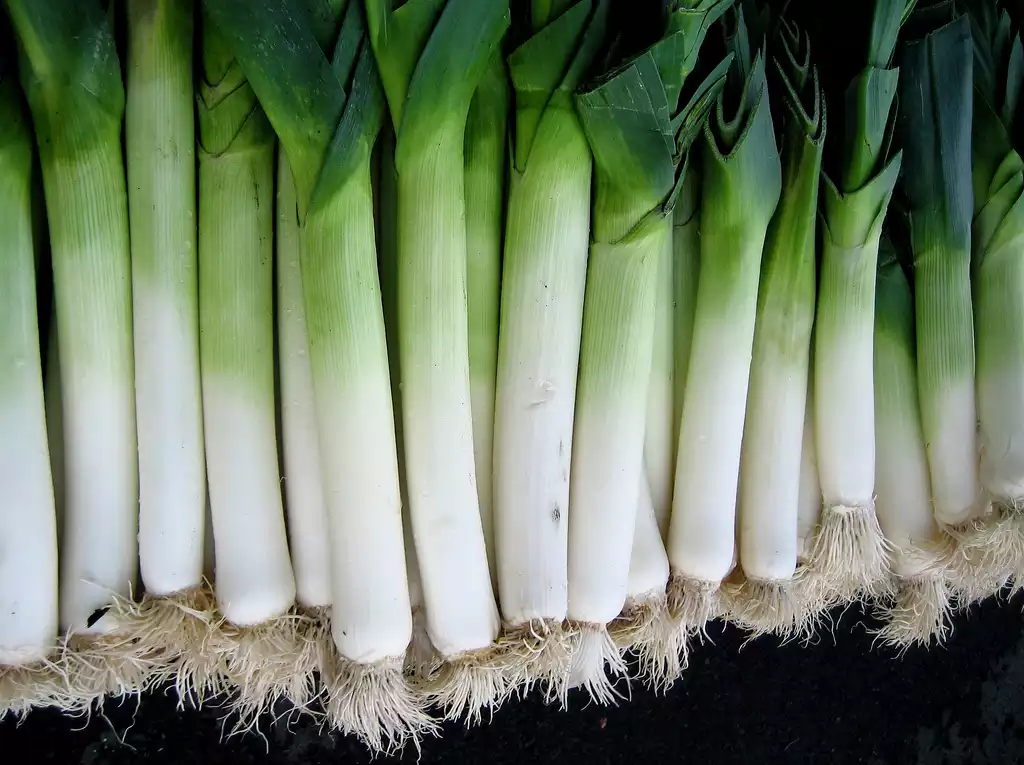 Leeks image 1