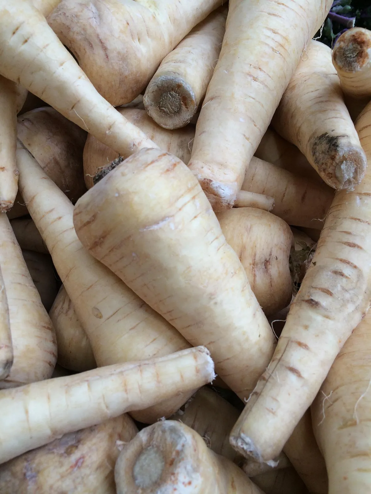 Parsnips image 2