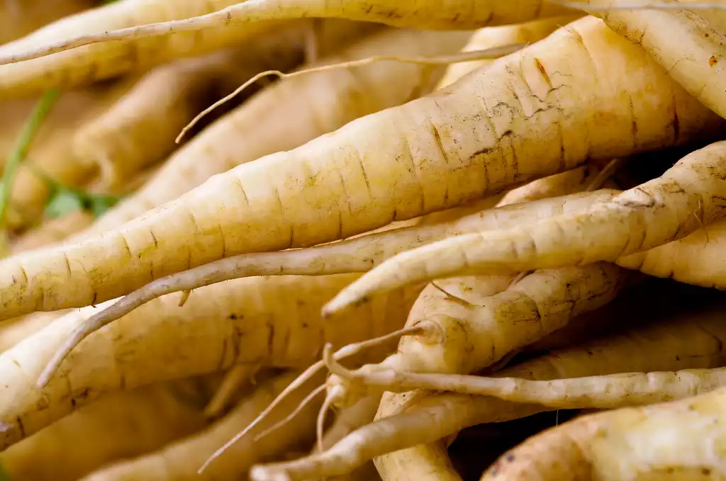 Parsnips image 1