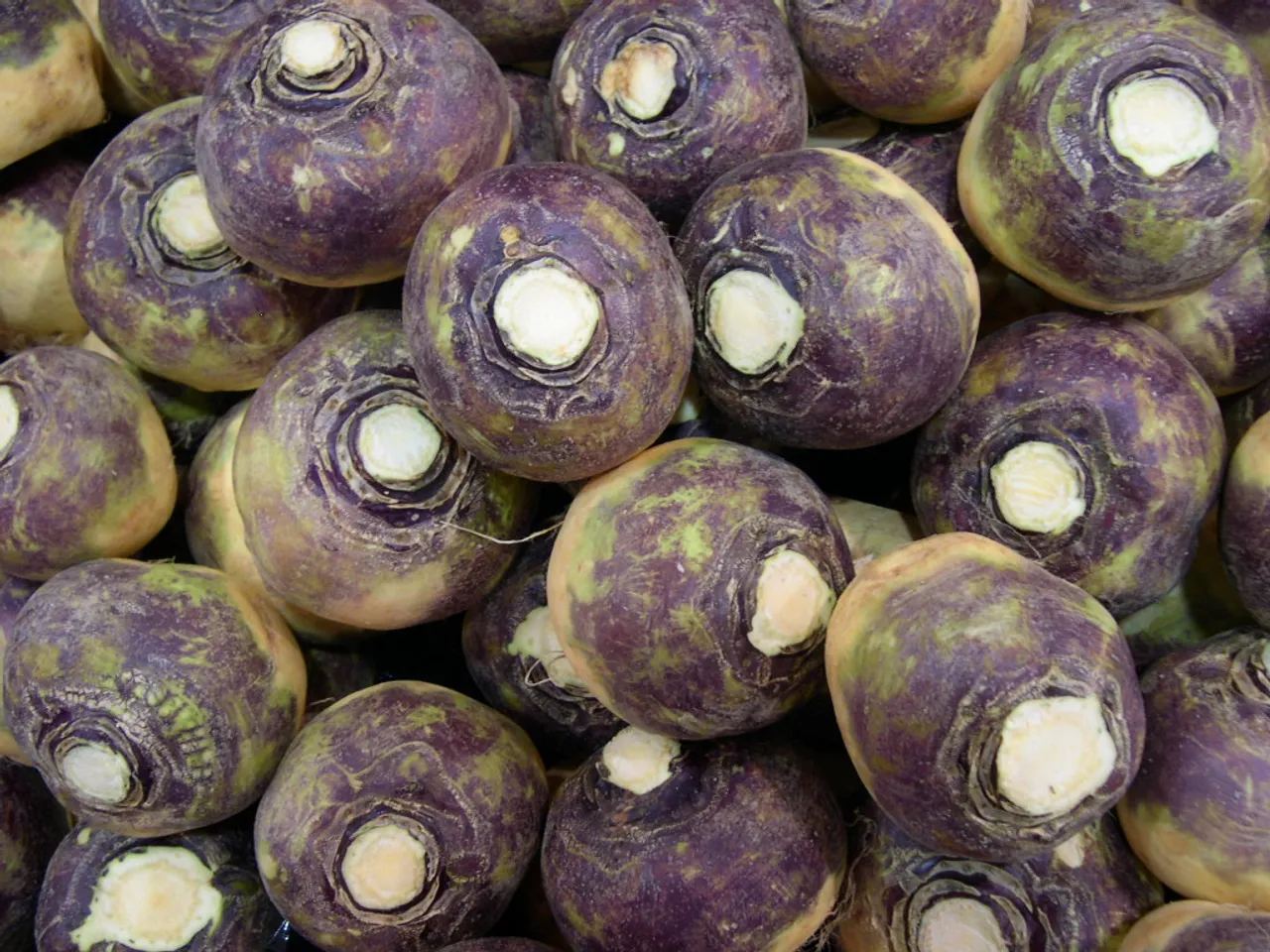 Rutabaga image 1