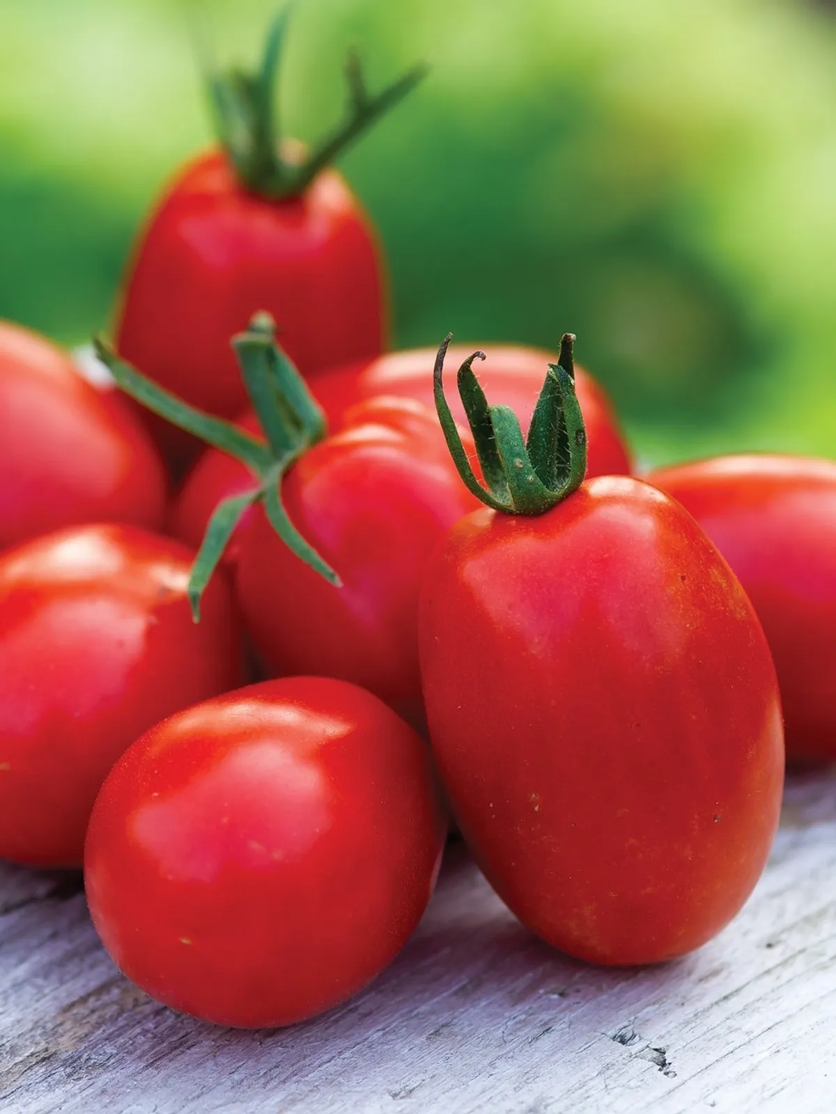 Sweet Aroma Hybrid Tomatoes