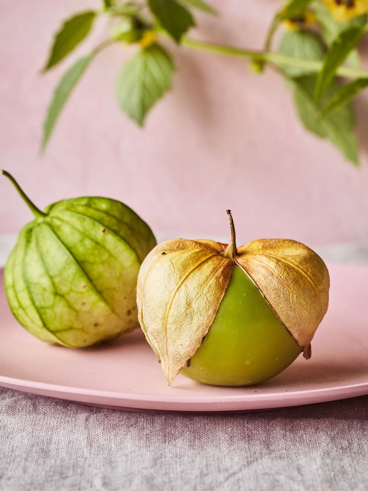 Gigante Verde Tomatillos
