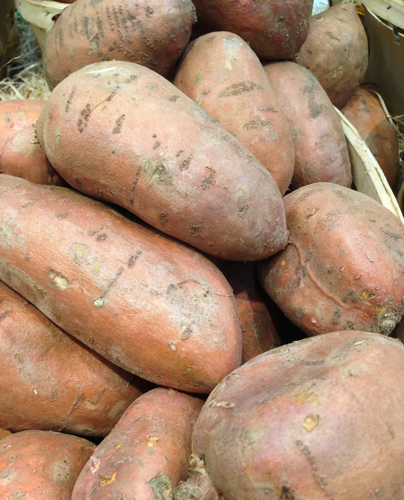 Sweet Potatoes image 3
