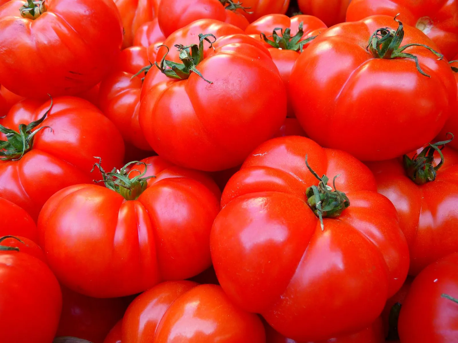Tomatoes image 3