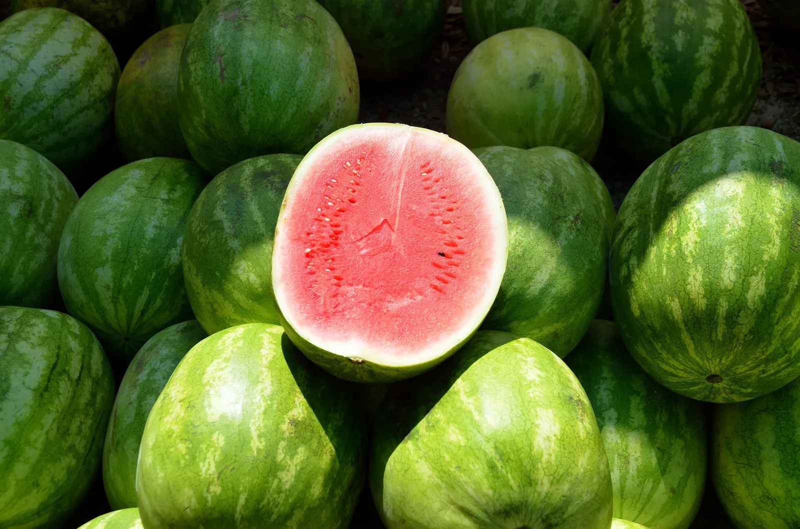 Watermelon image 4